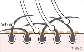 ReFa ION CARE BRUSH – bristle structure close-up